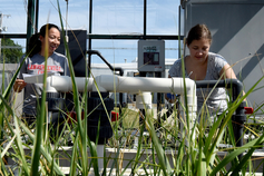 Club - Marine Science Center Graduate Student Association